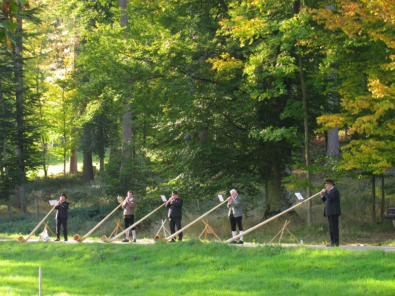 Alphorn Waldleiningen