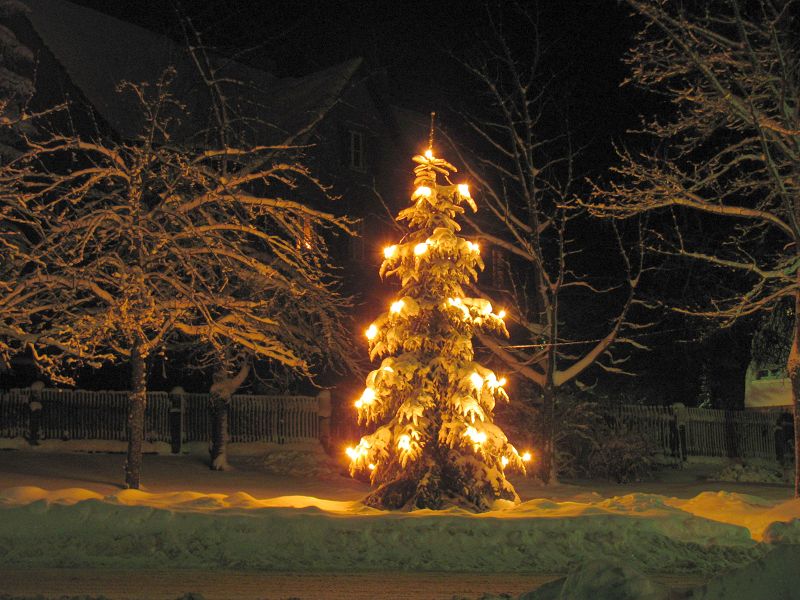 Christbaum